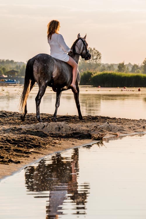 Koń, jezioro, Tarnobrzeg, sesja